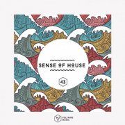 VA - Sense Of House, Vol. 43 (2019)