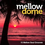 VA - Mellow Dome (2023)