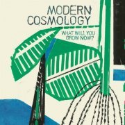 Modern Cosmology - What Will You Grow Now? (2023)