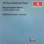 Matthew Nelson - All Your Diamond Tears (2023)