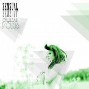 Sensual Chillout, Vol. 6 (2013)