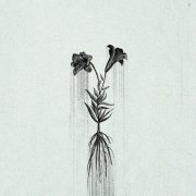 Penelope Trappes - A Requiem: Æternum (2025)