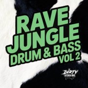 VA - RAVE / JUNGLE / D&B, Vol 2 (2025)