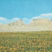 Black Brunswicker - Dreams of a Sunflower River (2026) [Hi-Res]