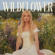 Zandi Holup - Wildflower (2025) [Hi-Res]