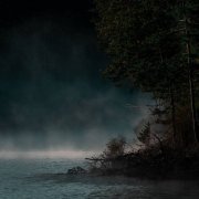 Warmth - The Stillness (2025)