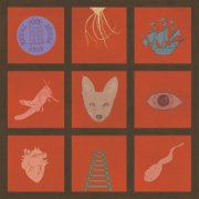 Neureille - Dree Your Weird (2026) Hi Res