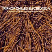 VA - Trip Hop Chilled Electronica (Abstract Funk Downtempo Acid Beats Jazzy Session) (2016)