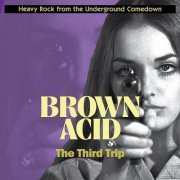 VA - Brown Acid: The Third Trip (2016)