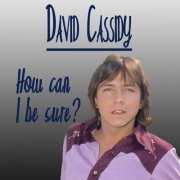 David Cassidy - How Can I Be Sure (2014)