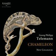 New Collegium - Telemann: Chameleon (2019) [Hi-Res]