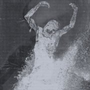 Restive Plaggona - Void, Endlessly (2025)