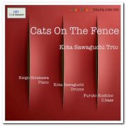 Kota Sawaguchi Trio - Cats on the Fence (2018) [Hi-Res DSD]