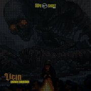 Vein - KNOWN/UNKOWN (2024)