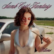 Blums - Sunk Cost Fantasy (2026) [Hi-Res]