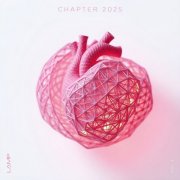 VA - Chapter 2025, Vol. 2 (2025)