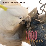 Souls of Ambience - A 1000 Tears (2024) [Hi-Res]