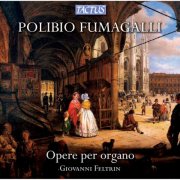 Giovanni Feltrin - Fumagalli: Opere per organo (2012)