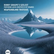 Ronny Graupe, Kit Downes, Lucia Cadotsch - Newfoundland Tristesse (2024) [Hi-Res]