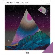 VA - Tones & Melodies Vol. 30 (2025)