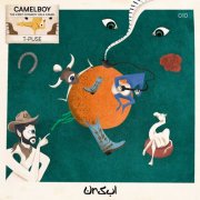 VA - Camelboy (2024)