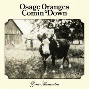 Zara Alexandra - Osage Oranges Comin Down (2023)