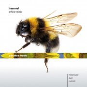 Christopher Hinterhuber - Hummel: Schöne Minka (2012/2020)