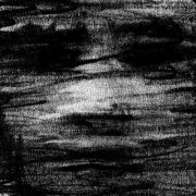 Born Erased - Birds Drink My Blood (2025) Hi Res