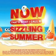 VA - NOW That's What I Call A Sizzling Summer (2023) [4CD]