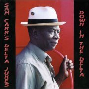 Sam Carr's Delta Jukes - Down In The Delta (2004) [CD Rip]