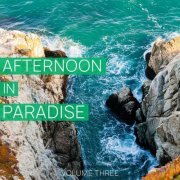 VA - Afternoon in Paradise, Vol.3 (2020)