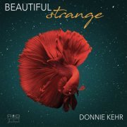 Donnie Kehr - Beautiful Strange (2023) Hi-Res