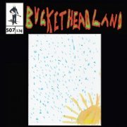 Buckethead - Behind The Rain (Pike 507) (2023)