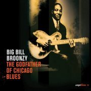 Big Bill Broonzy - The Godfather Of Chicago Blues (2005)