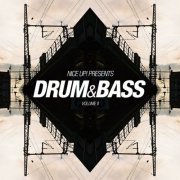 VA - NICE UP! Presents Drum & Bass, Vol. 2 (2023)