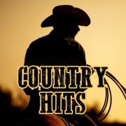 VA - Country Hits (2020)