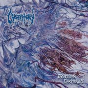 Dysentery - Dejection Chrysalis (2025) Hi-Res