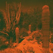 Cameron Knowler - Anticipation (2021) [Hi-Res]