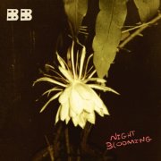 Birdie Busch - Night Blooming (2026) [Hi-Res]