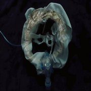 Ship Sket - InitiatriX (2025)
