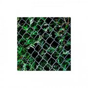 504 Aquatic - Urns (2026)