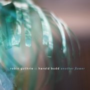 Robin Guthrie & Harold Budd - Another Flower (2020) [Hi-Res]