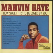 Marvin Gaye - How Sweet It Is To Be Loved By You (1965)