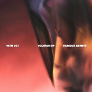 VA - Volition VA (2024)