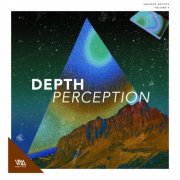 VA - Depth Perception Vol. 9 (2025)