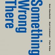 Ken Ganfield, Kurt Liedwart & Petr Vrba - Something Wrong There (2019)