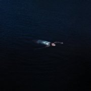 Mustard Service - Paradise (2026) Hi Res