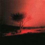 Joji - Piss In The Wind (2026) [Hi-Res]
