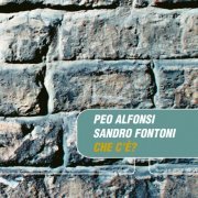 Peo Alfonsi, Sandro Fontoni - Che c'è? (2015)