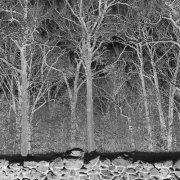 Pile - Sunshine and Balance Beams (2025) [Hi-Res]